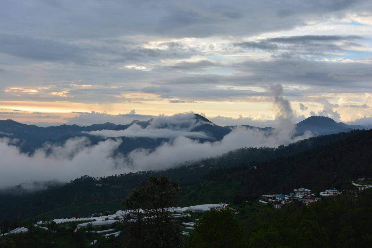 Ekant Retreat Resort Chail Exterior photo